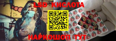 ПСИЛОЦИБИНОВЫЕ ГРИБЫ Кимры
