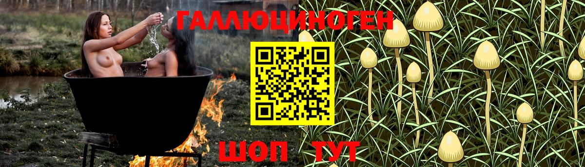 Псилоцибиновые грибы мухоморы  Галлюциногенные грибы мухоморы  Гурьевск  Вход с VPN 